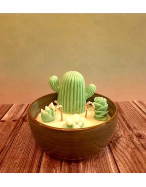 Bougie Jardin du désert