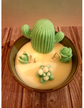 Bougie Jardin du désert