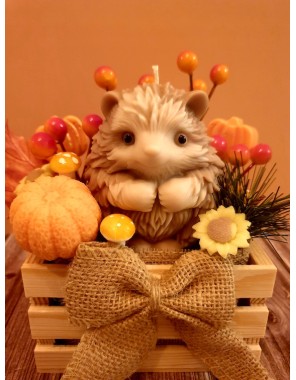 Composition Petit bois enchanté