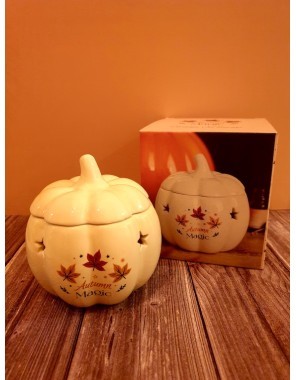 Brûle parfum citrouille...