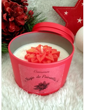 Bougie Magie de Poinsettia